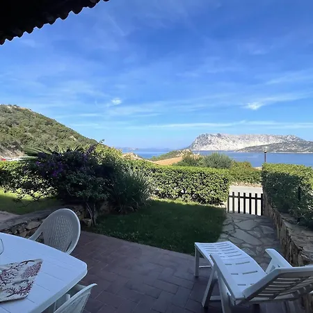 Punta Est Giardino E Vista Mare Capo Coda Cavallo