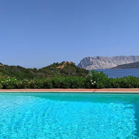 Punta Est Giardino E Vista Mare Capo Coda Cavallo