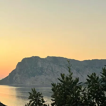 Punta Est Giardino E Vista Mare Apartment